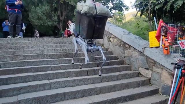 机器狗预备上岗 机器人时代要担心岗位被替代吗？