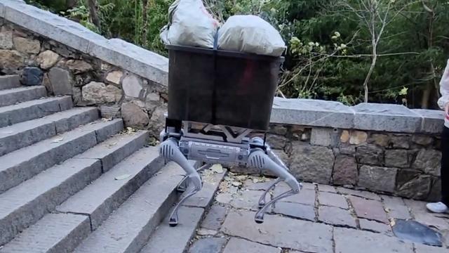 机器狗预备上岗 机器人时代要担心岗位被替代吗？